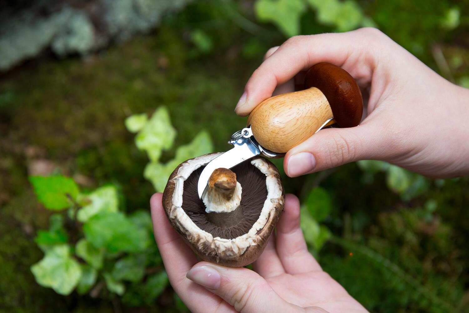 Mushroom Tool nøglering